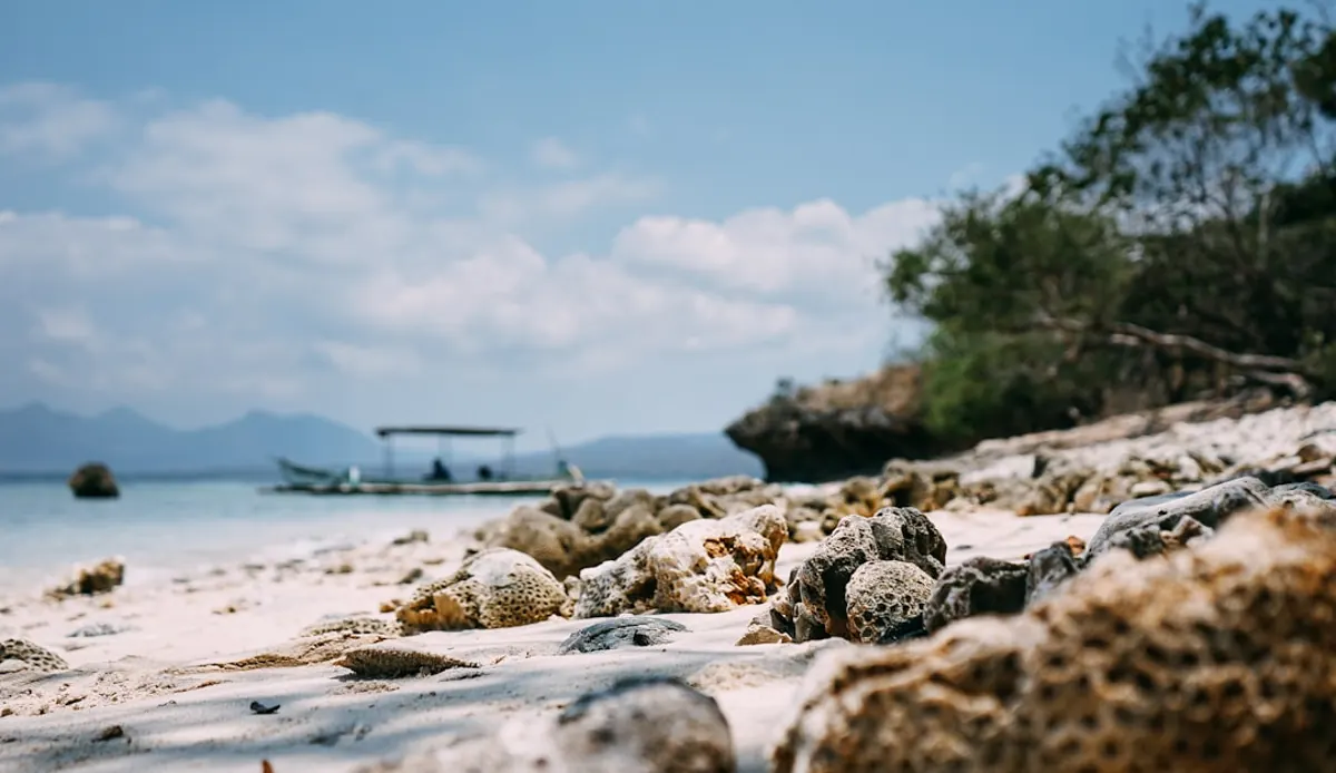 How to dive Menjangan Island and what you’ll see