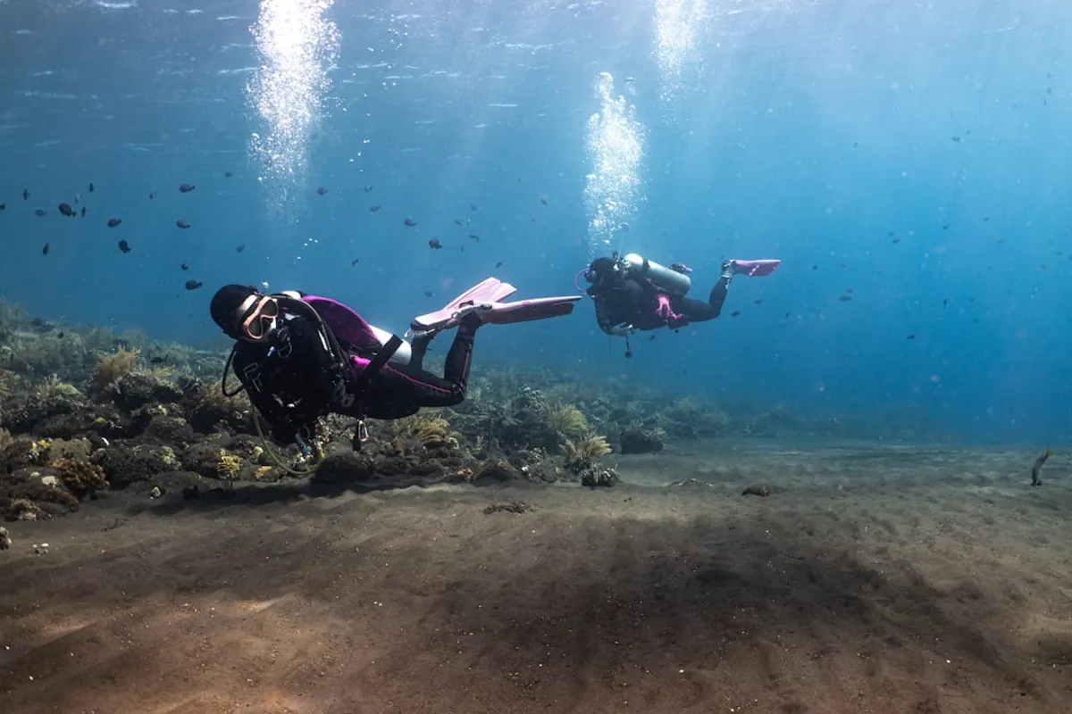 Komodo diving seasons and best months for liveaboards